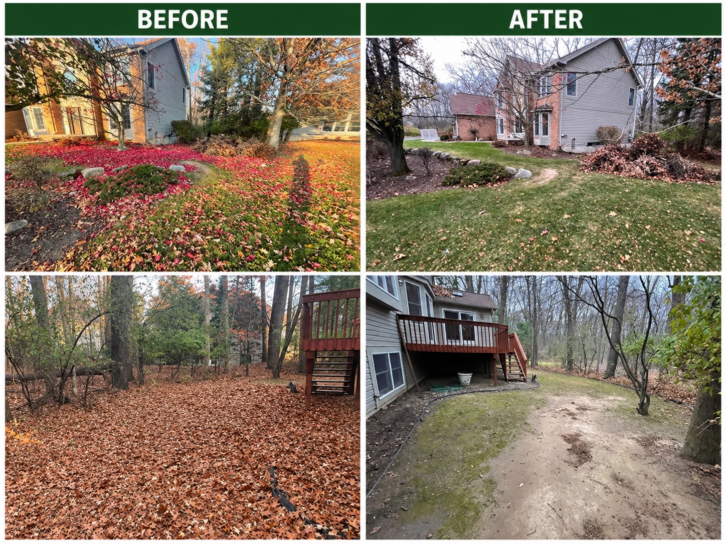 Before and after comparisons showing seasonal leaf cleanup